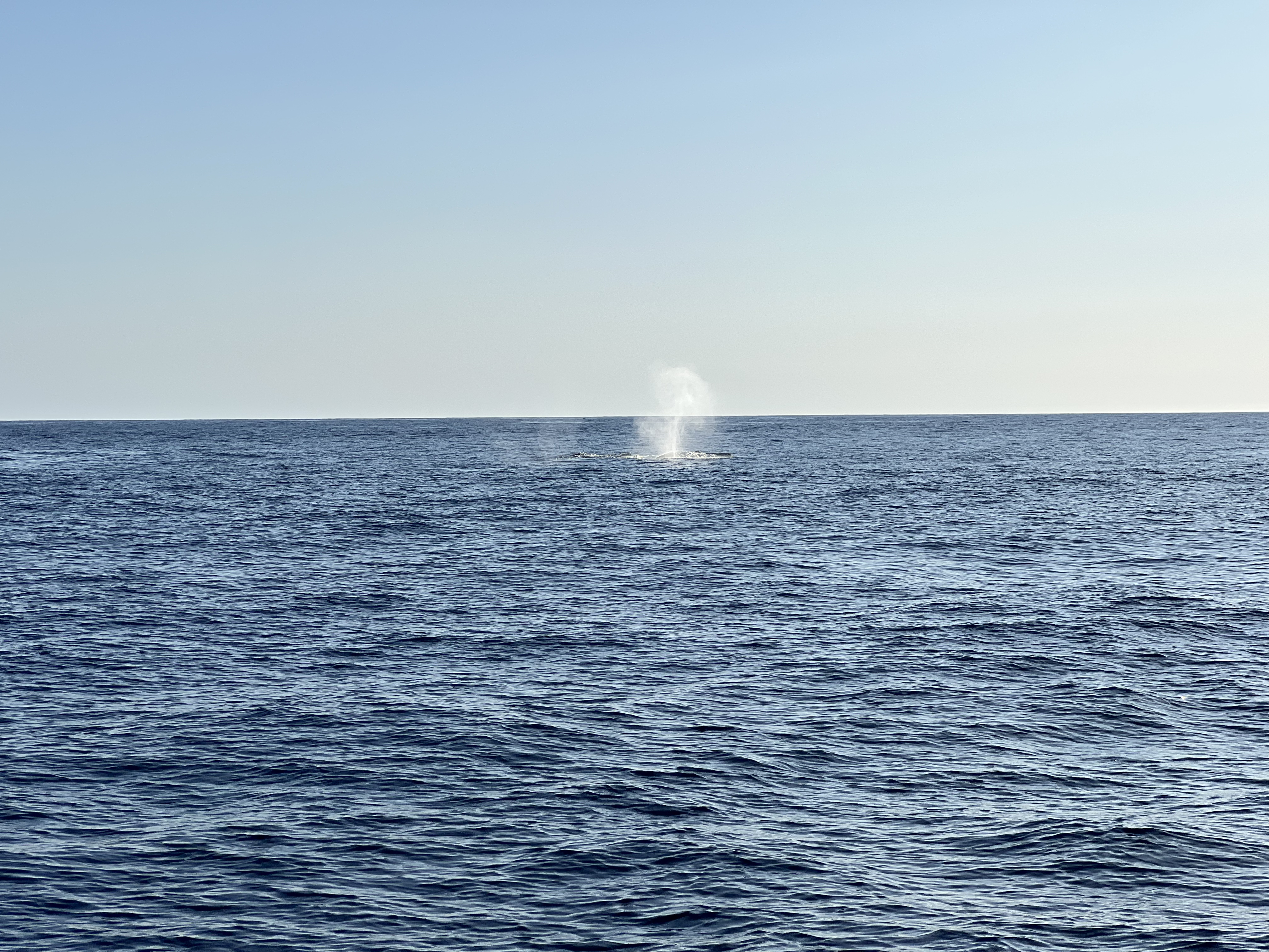 ./2024/13 - Cabo/IMG_4663.jpg